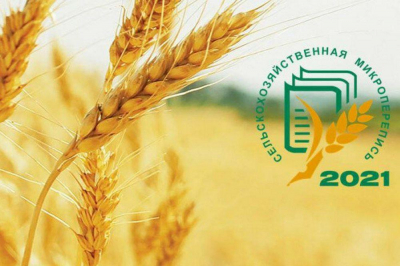 В Иркутской области стартовала первая сельскохозяйственная перепись