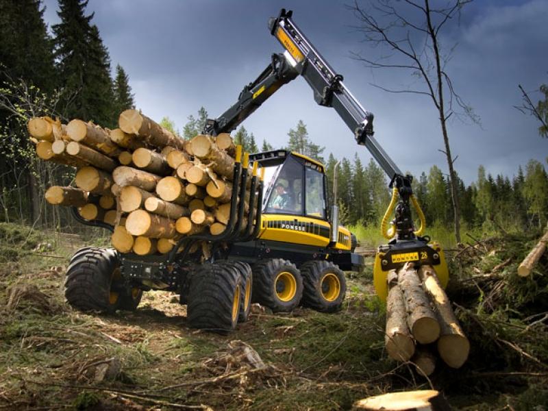 Проблемы лесной отрасли